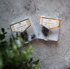 Wonder Lashes Easy Volume Fans gotowe wachlarzyki 6D 0,07