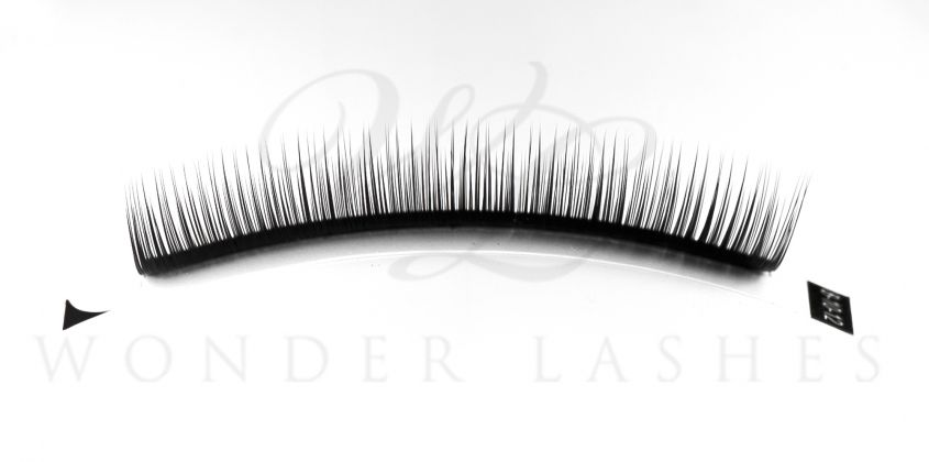 CAMELLIA LASHES NATURAL Wonder Lashes
