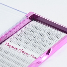 Wonder Lashes rzęsy wachlarzyki 3D objętościowe 0,07mm na paletce